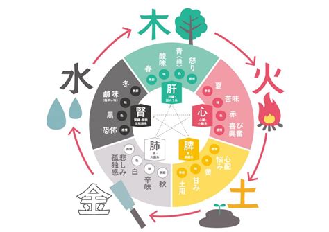 陰陽五行 木 性格|四柱推命【木】の五行とは？性格や運勢、恋愛、仕事、相性を解。